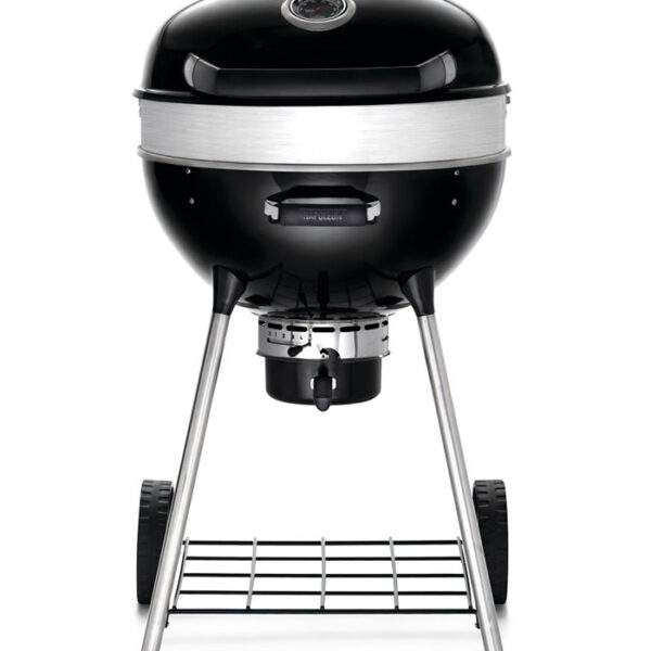 Charcoal PRO22
